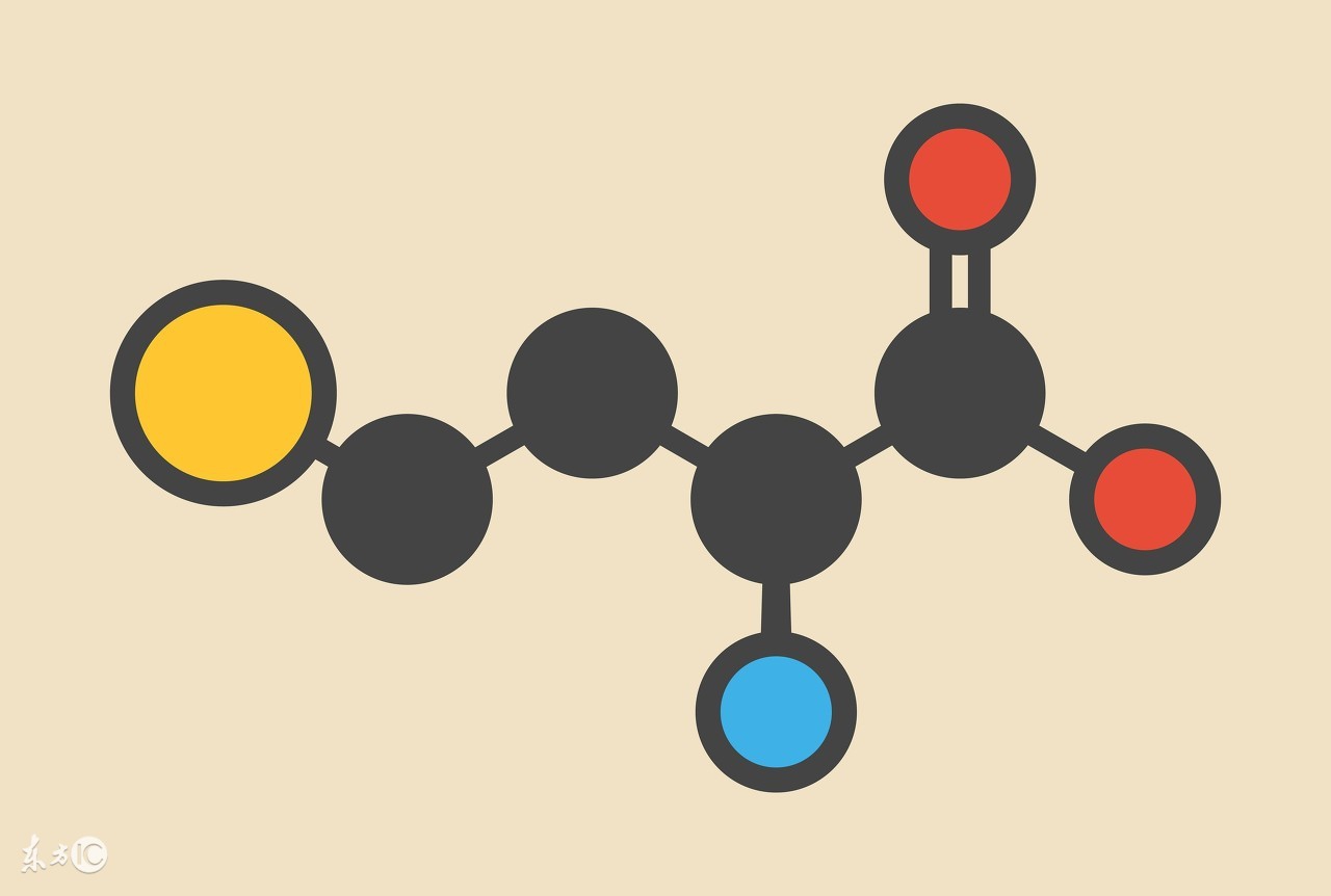 细说同型半胱氨酸,健康科普带你了解同型半胱氨酸