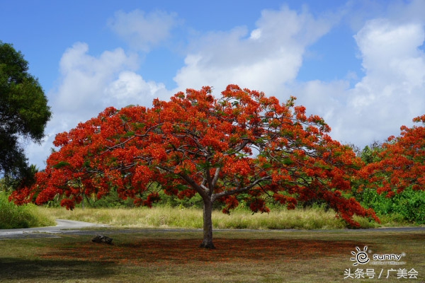 避暑策划海陆空畅游美国塞班岛