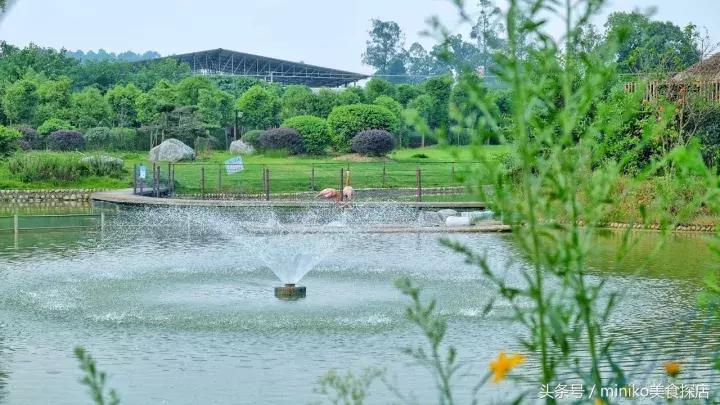 成都周边农场推荐,成都周边最有特色的农场