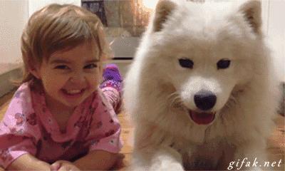 萨摩耶得了相思病怎么处理,六个月萨摩耶不爱吃狗粮了