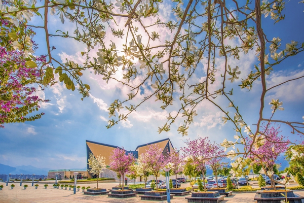 攀枝花市夏季旅游路线,攀枝花周边景点一日游最佳路线