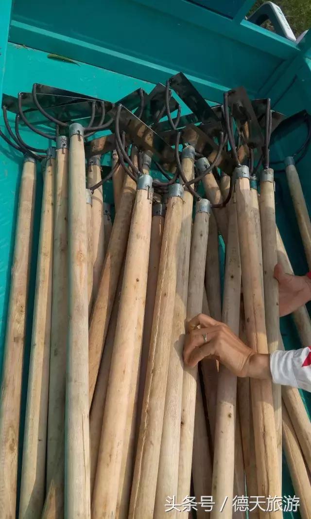 防城港的这片红树林，国庆要搞事情了，等你来撩~