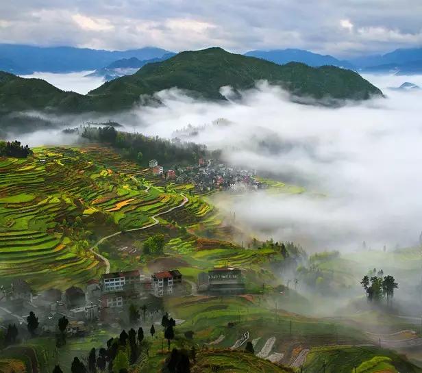 仙居美食餐厅推荐日料,仙居美食推荐