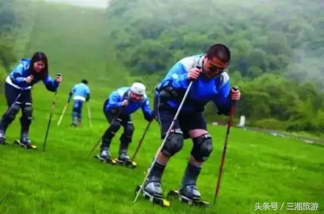 株洲哪里有花海可以看,株洲沿江风光带花海