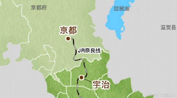 深度了解抹茶,抹茶控的你真的了解它吗