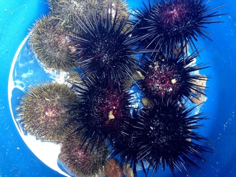 国庆广州佛山好玩地方推荐,广州周边国庆人少好玩的地方