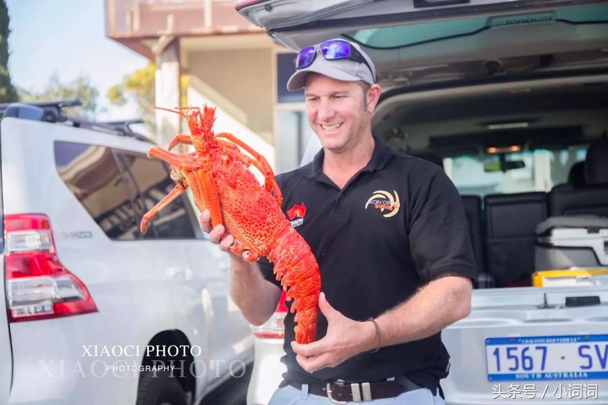 玩转南澳大利亚，这篇最全旅行攻略一定可以帮到你
