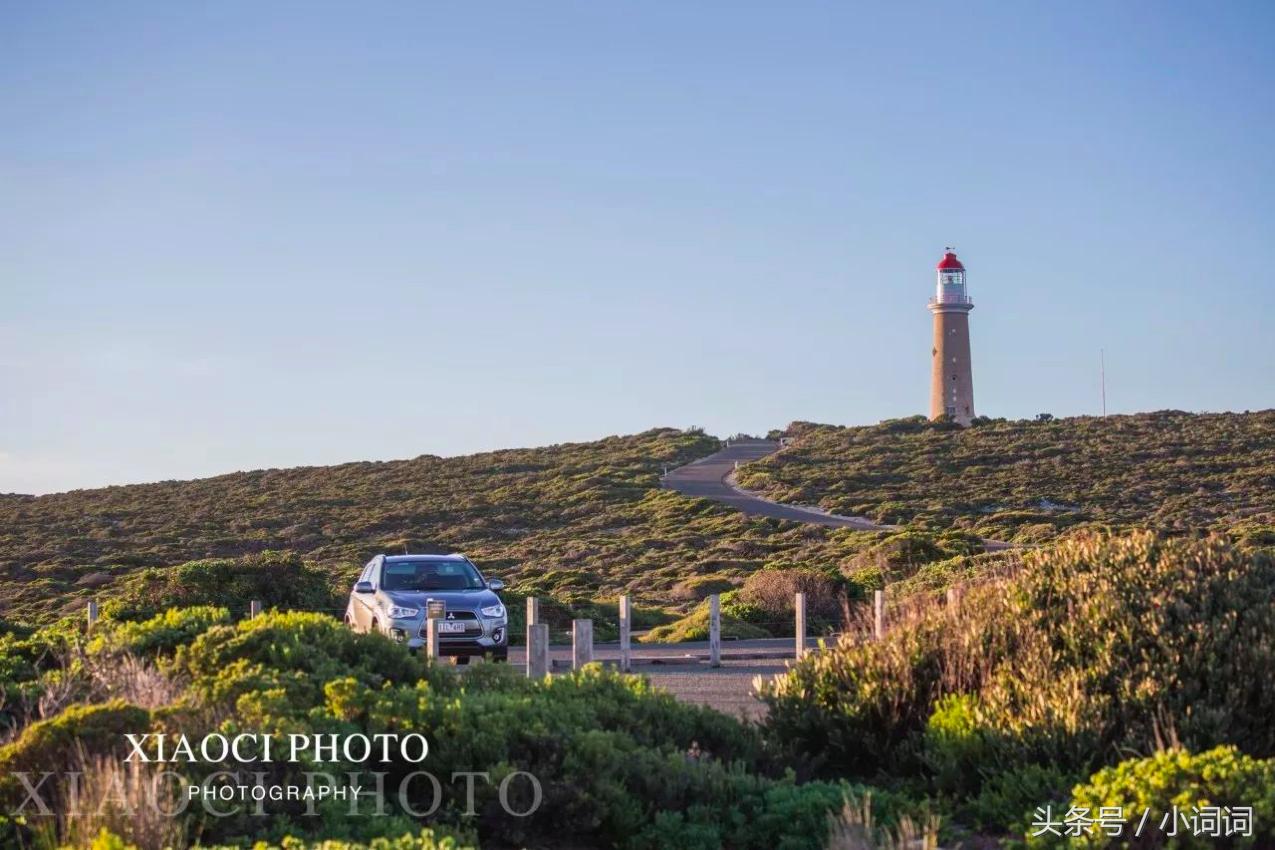 玩转南澳大利亚，这篇最全旅行攻略一定可以帮到你