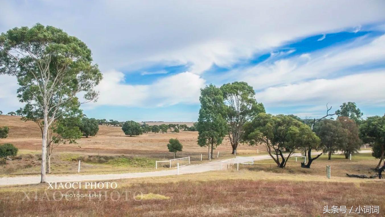 玩转南澳大利亚，这篇最全旅行攻略一定可以帮到你