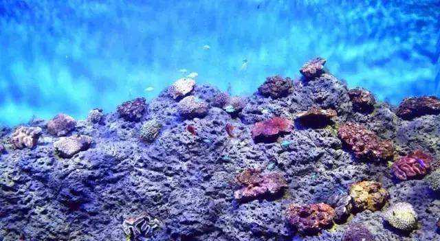 大西北旅游匈奴,一起游巴朗山