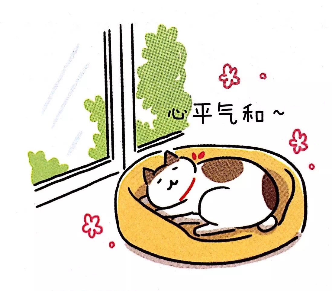 猫咪绝育后还是乱尿,关于猫咪绝育这里有最详细的攻略