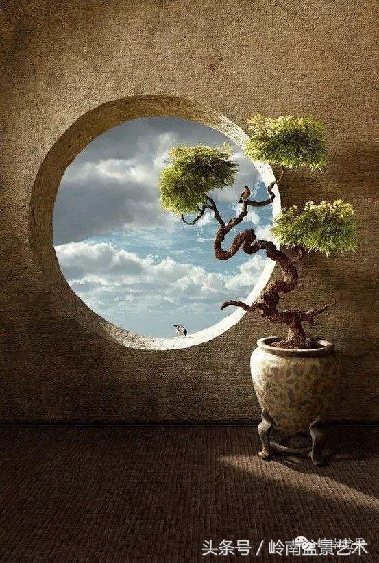 月圆夜，陪您过中秋