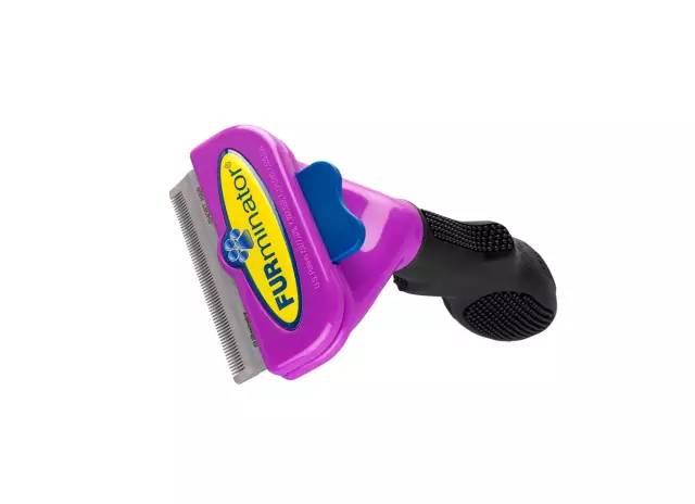 到处都是猫毛|到底什么猫毛梳最好用?