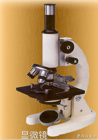 显微镜的简单易懂原理,显微镜的构造及使用