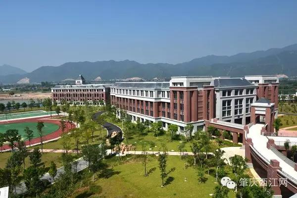 明天的肇庆，牛得让你高攀不起！