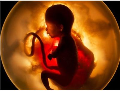 孕期胎儿缺氧哪些表现,孕期胎儿缺氧是什么原因