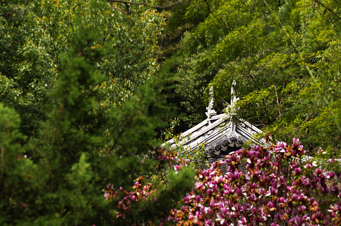 苏州穹窿山景区风景,苏州穹窿山半山腰