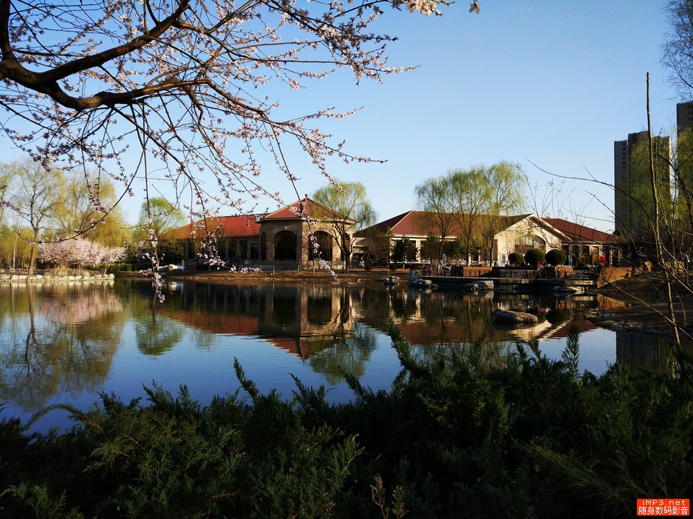 手机屏幕不好打游戏不顺滑怎么办,小米5屏幕测试