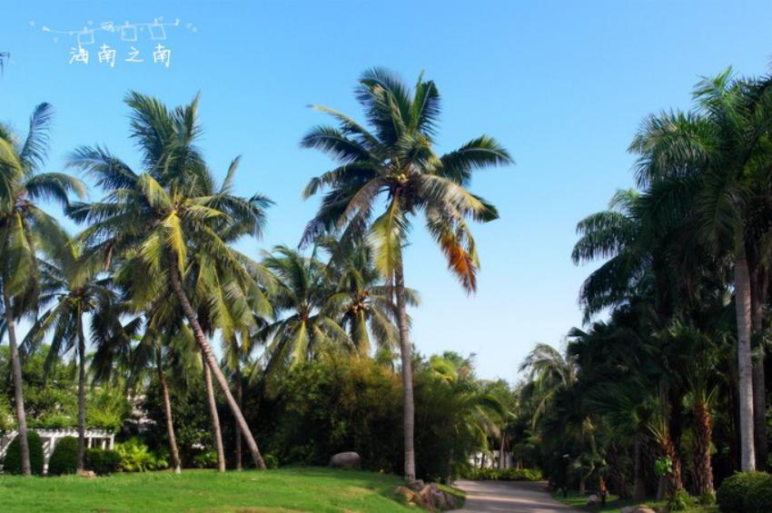 穿过云海后的美景,穿过云海看美景