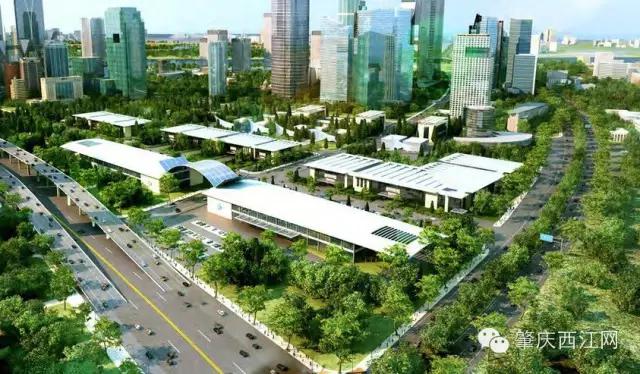 明天的肇庆，牛得让你高攀不起！