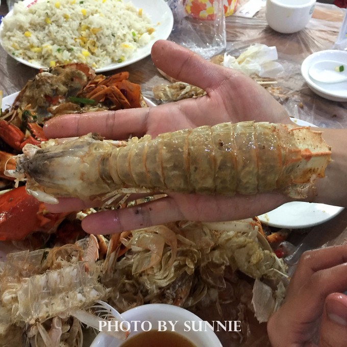 北纬十八度之三亚,北纬18度的旅行三亚游记