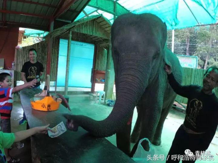 刷我滴卡泰国话,刷我滴卡泰国原版