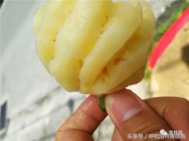 呼和浩特飞普吉岛,刷我滴卡泰国原版