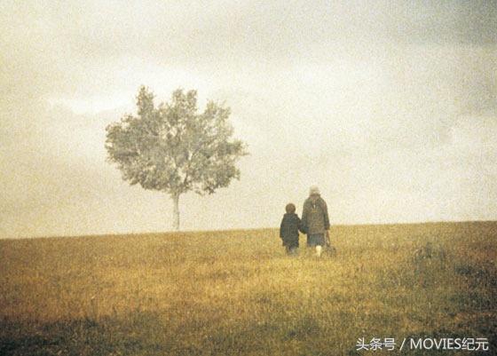 经典电影推荐豆瓣9.0分以上,豆瓣评分最高的电影排行榜前十名