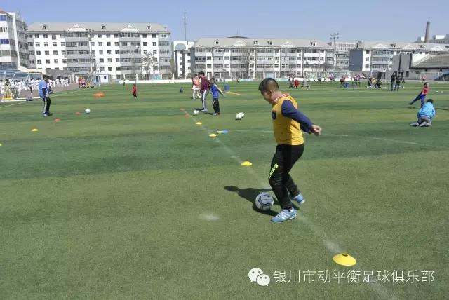 中国足球要青训才能崛起,中国足球真正的从娃娃抓起