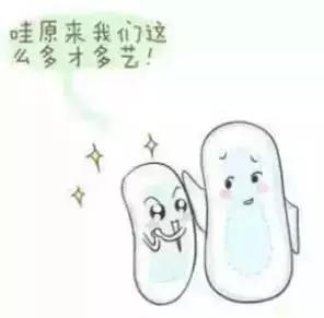 怎么正确选择伴侣,如何正确选择合适的伴侣