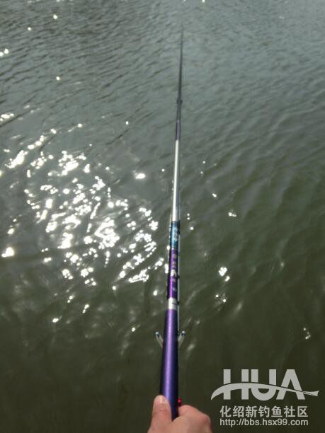 钓友自述：一支钓竿居然这么多学问