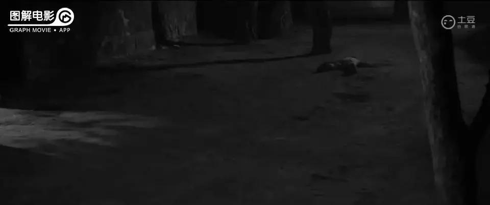 贞子小时候的真实模样,贞子真正的小时候照片