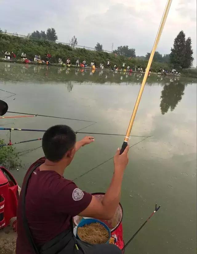 汝南钓鱼大赛,行营钓鱼比赛现场直播