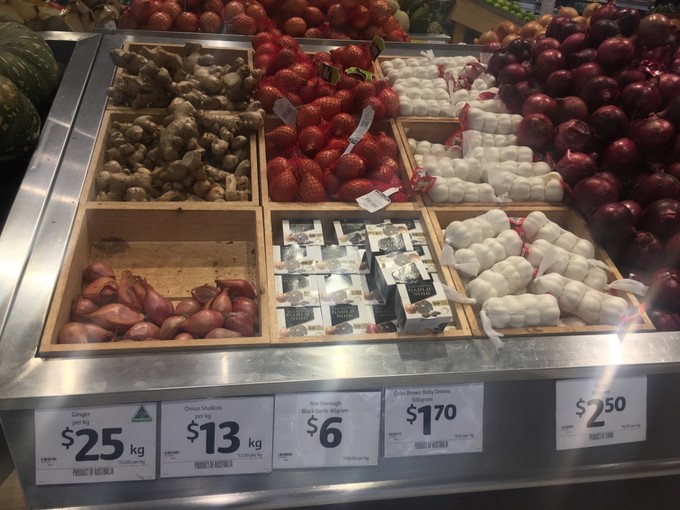 辞职旅行墨尔本,辞职去澳大利亚