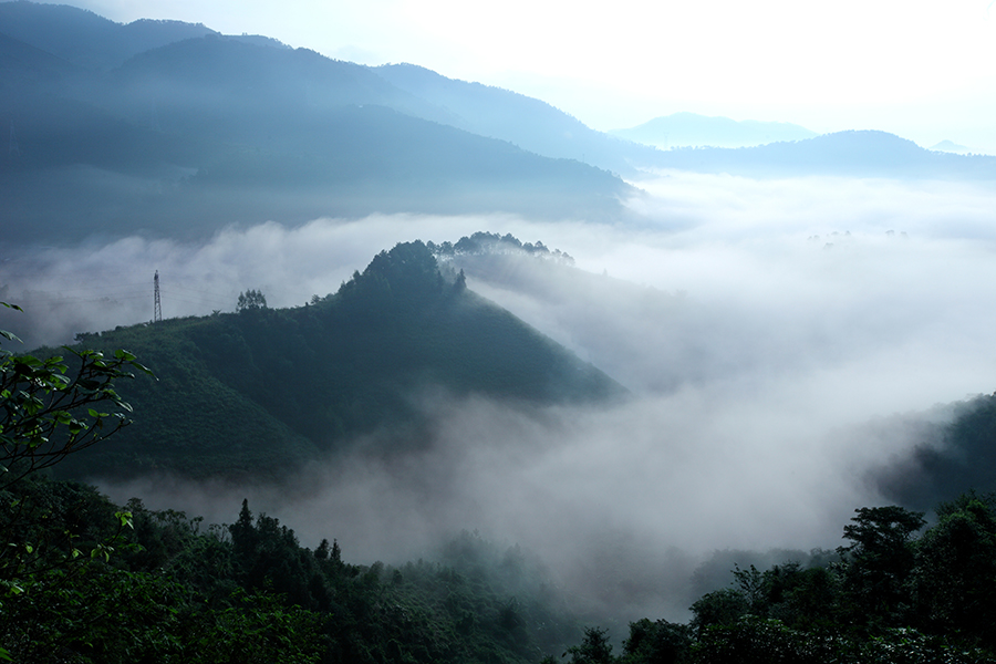 罗定看云海需要什么天气条件,云浮大云山看云海