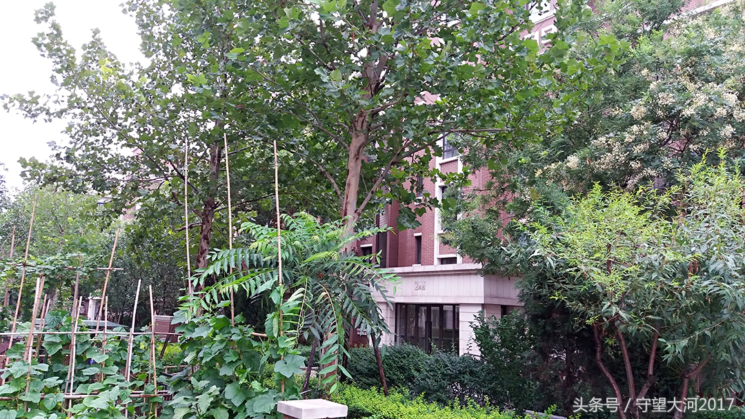 北塘古镇游览视角,北塘古镇游记