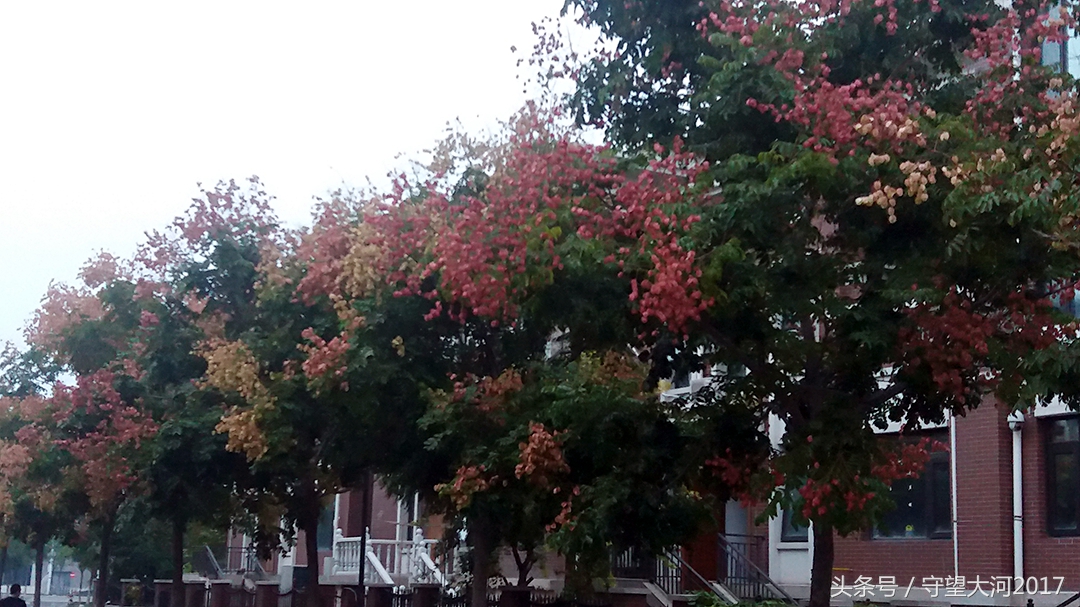 北塘古镇游览视角,北塘古镇游记