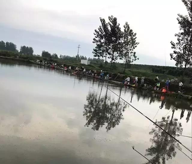 汝南钓鱼大赛,行营钓鱼比赛现场直播