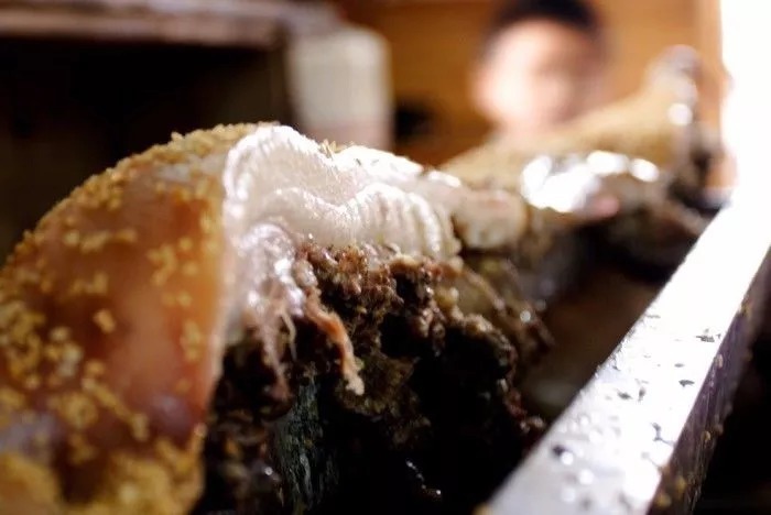 顺德好吃好玩,顺德好吃攻略