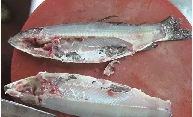 大师傅教你做正宗的西湖醋鱼,芡汁清淡,肉质鲜嫩,学会超有面子