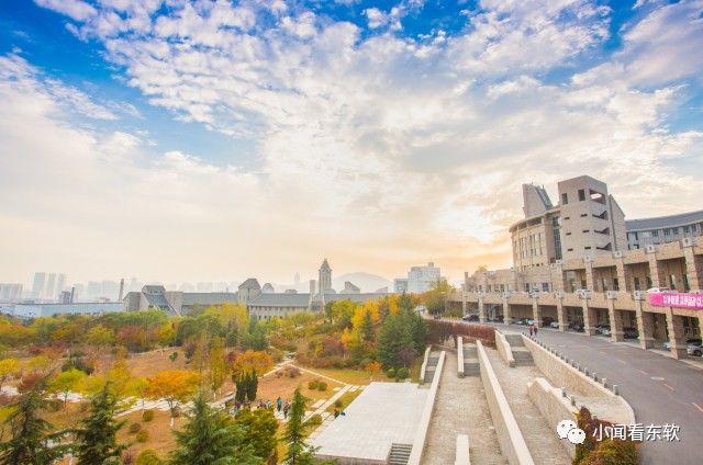 大连东软是本科学校吗,大连东软都有什么院系