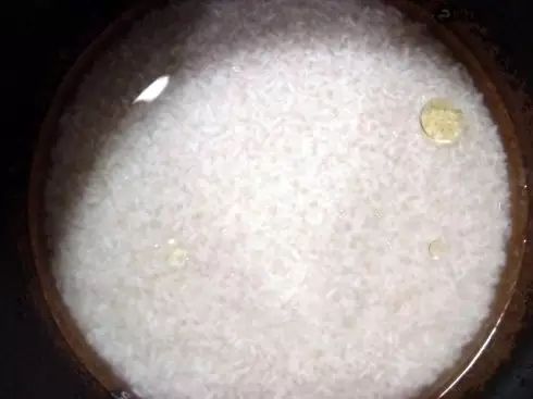 龟类冬眠方法技巧全面指南,各种龟类的冬眠方法