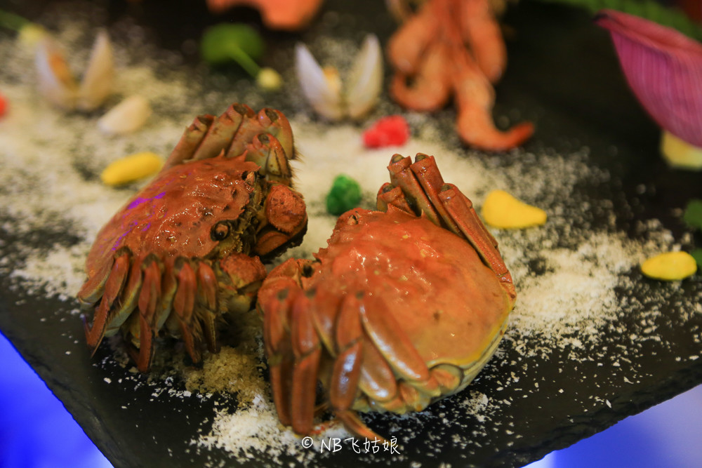 南通适合亲子游玩的园区,南通绿博园旁边游玩的地方