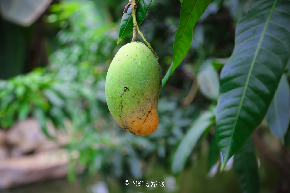 南通滨江公园亲子游,南通洲际绿博园有什么好玩的