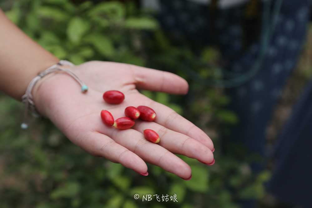 南通滨江公园亲子游,南通洲际绿博园有什么好玩的