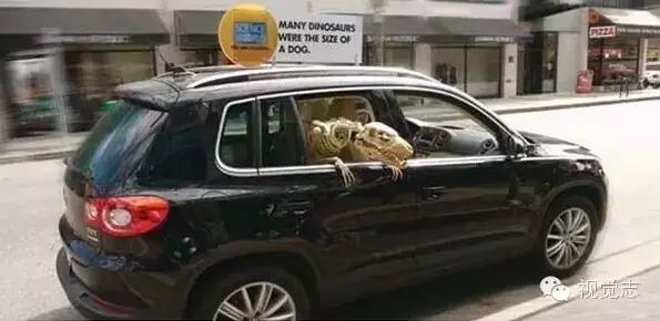 这些冷知识你都知道的吗,这些冷知识你都知道吗