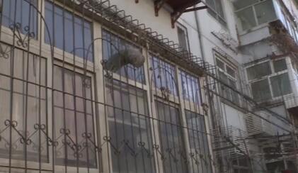 石家庄市民遇“热心人”不请自来结果不可思议的事情发生了！