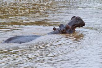 愚人节不愚人精选,愚人节不愚你