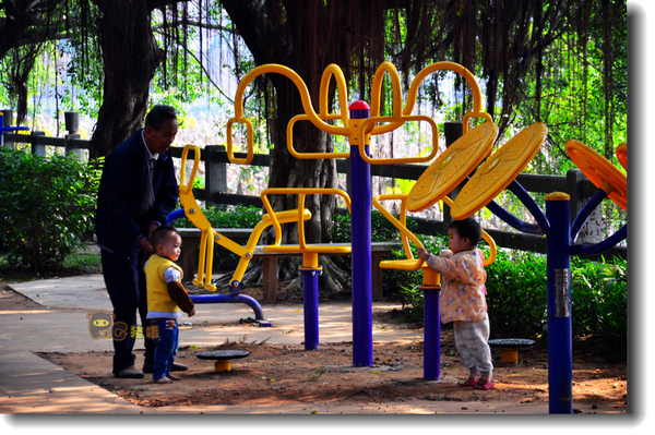 十二道锋味谢霆锋潮汕牛肉,十二道锋味隆苑咖啡谢霆锋