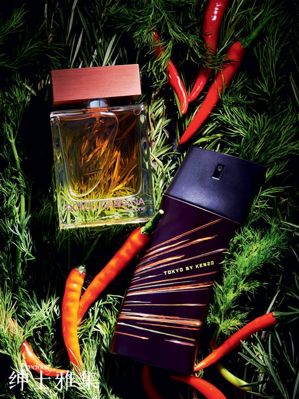 征服她歌曲,征服她的正确选择